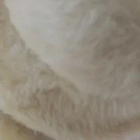 شال و کلاه کرم رنگ|لباس|رشت, باهنر|دیوار