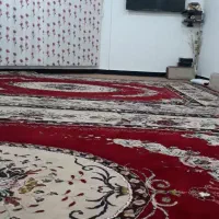 2عددقالی12متری