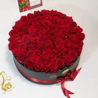 حلقه