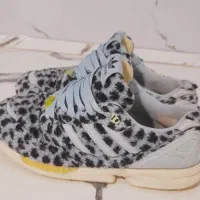 کتونی zx تدی|کیف، کفش، کمربند|رباطکریم, الارد|دیوار