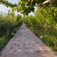 محضر،باغ عقد،خانه عقد،باغ محضر|خدمات پذیرایی، مراسم|خمینیشهر, |دیوار