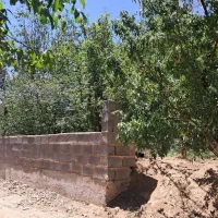 باغ نقلی ۲۶۰ متری خوش قواره سرآشیان کرمجگان|فروش زمین و ملک کلنگی|قم, مسکن مهر|دیوار
