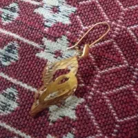 یک عدد گوشواره گم شده،