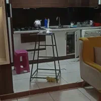 رهن-کامل-صد-متری