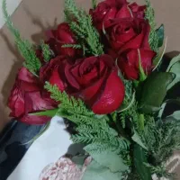 گل رز تازه ب قیمت عمده|گل و گیاه طبیعی|بندرعباس, |دیوار