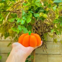 شمع پاییزی کدو