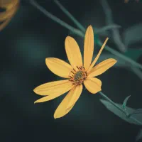 لنز سیگما 300-18 مانت کانن|دوربین عکاسی و فیلم‌برداری|کرمانشاه, |دیوار