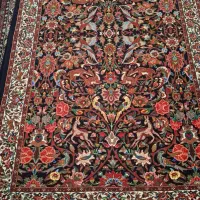 ذرع نیم شکارگاه