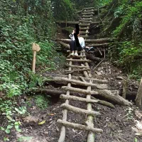 راهنمای گردشگری گیلان تجربه بینظیر|تور و چارتر|بندر انزلی, عباس آباد|دیوار