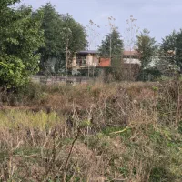 فروش زمین مزروعی چسبیده مسکونی|فروش زمین و ملک کلنگی|واجارگاه, |دیوار