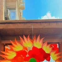 نیروی خدماتی خانوم