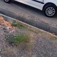 پرشیا تیو فاییو ۹۵|خودرو سواری و وانت|پلدشت, |دیوار