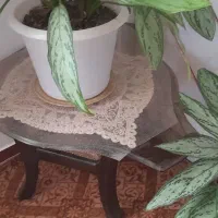 مبل ومیزعسلی وجلو مبلی|مبلمان خانگی و میز عسلی|رضوانشهر, |دیوار