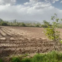 فروش زمین زراعی|فروش زمین و ملک کلنگی|فیرورق, |دیوار