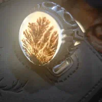 انگشتر شجر رکاب علی زنجان