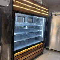 یخچال مرغ و مرغی ایستاده