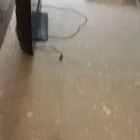 فروش تلویزیون