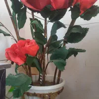 گل مصنوعی|گل مصنوعی|بجنورد, |دیوار