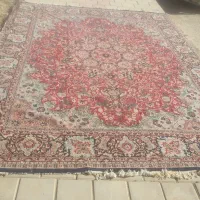 فرشهای ۱۲ متری سالم وشیک|فرش|همدان, |دیوار