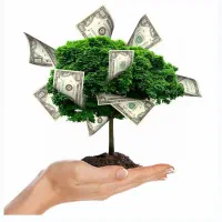 یک تومن سرمایه دارم دنبال سرمایه گذاری