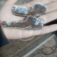 سنگ های شجرو املتیس معاوضه طوطی