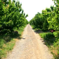 زمین-فروشی-محدث-قمی