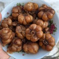 سیرترشی فروش کلی