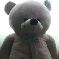 خرس عروسکی سایز بزرگ