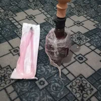 قیلیون میوه ای نو