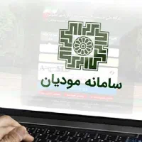 ارزش افزوده، سامانه مودیان