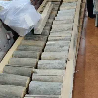 چوب دکور|صنایع دستی و سایر لوازم تزئینی|دوگنبدان, |دیوار