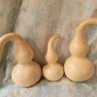 کدوی تزئینی