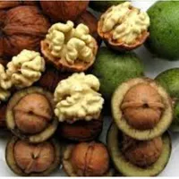 انجیر گردو|خوردنی و آشامیدنی|اصفهان, توپخانه ارتش|دیوار