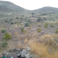 فروش باغچه|فروش دفتر صنعتی، کشاورزی، تجاری|شیراز, داریون|دیوار