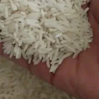 برنج ۹۰ روز|خوردنی و آشامیدنی|گرگان, |دیوار