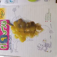 کتاب جامع سبز نهم|کتاب و مجله آموزشی|شیراز, اصلاحنژاد|دیوار