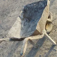 فرقون. بی رنگ