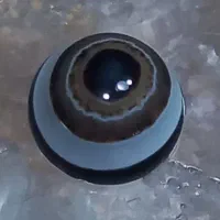 تک چشم موزه ای