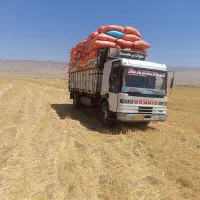 نخودگوسفندی خوراک دام