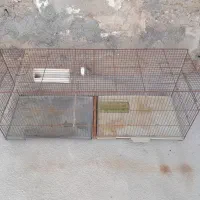 قفس مرغ عشق