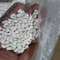 لوبیا|عمده‌فروشی|مسجد سلیمان, |دیوار