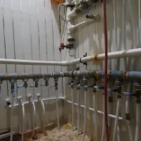 لوله کشی آب و فاضلاب|خدمات پیشه و مهارت|کنارک, |دیوار