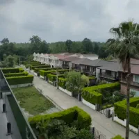 زمین در شهرک بلوط/حتی گرانتر از قیمت اعلامی میخرید|فروش زمین و ملک کلنگی|چمستان, |دیوار