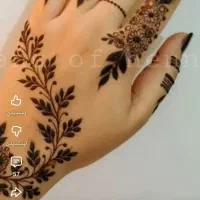 حنا عربی و ار مدل باشد|خدمات آرایشگری و زیبایی|سراوان, |دیوار