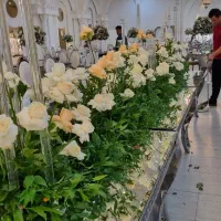 نیرو گل آرایی حرفه ای و نیمه حرفه ای