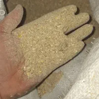 گندم ذرت سویا