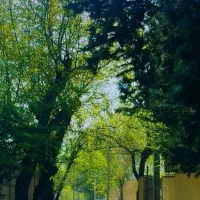 500-متر-زمین-4-دیواری-کردان-بهارک