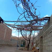 یک باب خونه ویلایی  قدیمی ساز