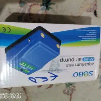 ماهی گوپی|ماهی|مشهد, شهید قربانی|دیوار