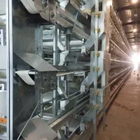دعوت به همکاری|استخدام صنعتی، فنی، مهندسی|قم, آزادگان|دیوار